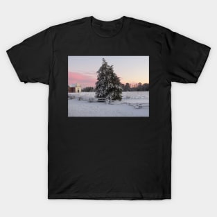 First Snow of 2022 T-Shirt